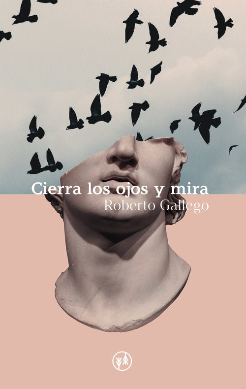 Cierra los ojos y mira, de Gallego, Roberto | portada del libro