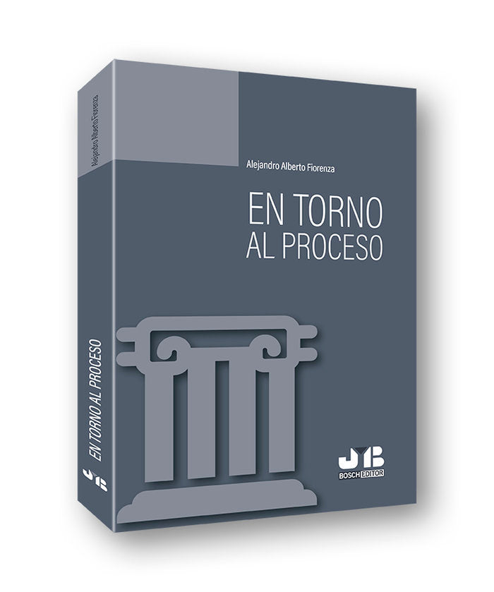 En torno al proceso, de Fiorenza, Alejandro | portada del libro