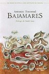 Bajamares, de Tocornal Blanco, Antonio | portada del libro