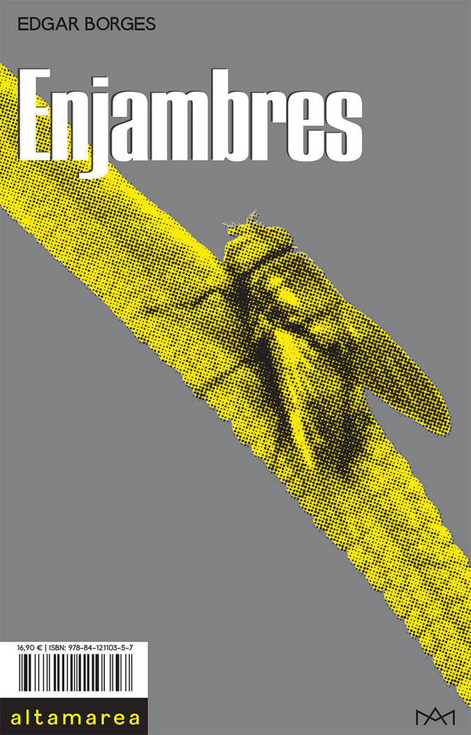 Enjambres, de Borges, Edgar | portada del libro