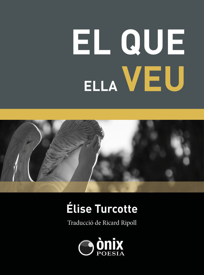 EL QUE ELLA VEU, de Turcotte, Élise | portada del libro