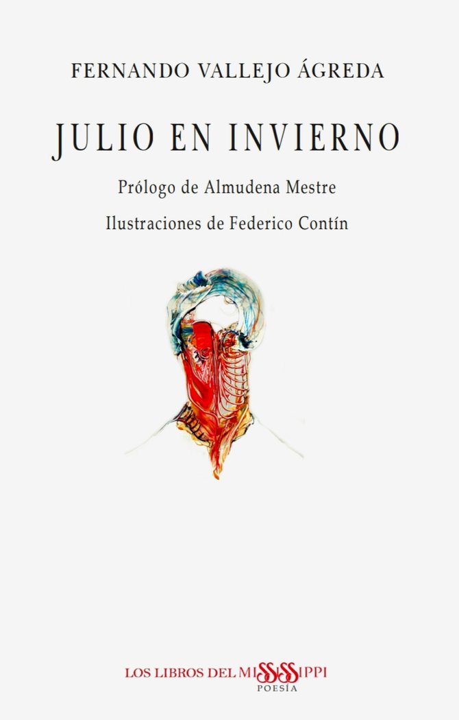 JULIO EN INVIERNO, de Vallejo Ágreda, Fernando | portada del libro