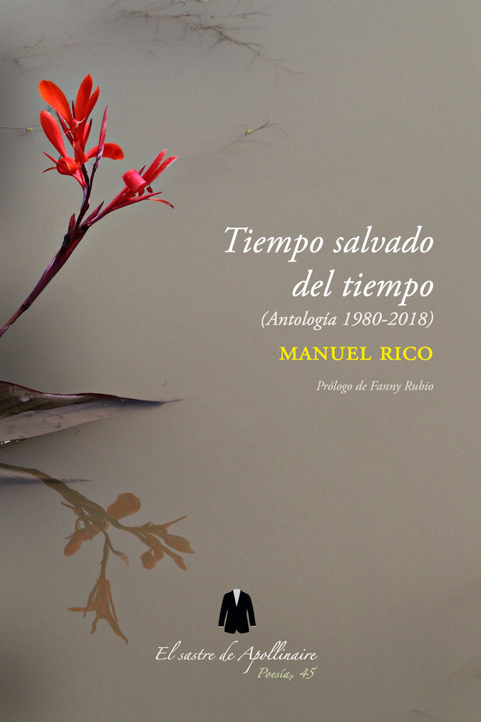 TIEMPO SALVADO DEL TIEMPO, de RICO, MANUEL | portada del libro