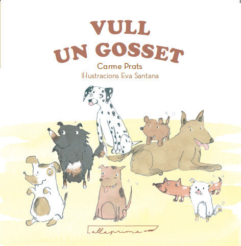 VULL UN GOSSET, de PRATS ALFONSO, CARME | portada del libro