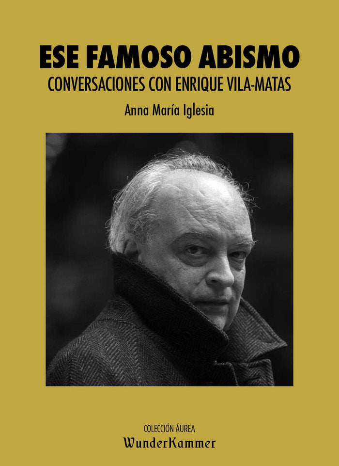Ese famoso abismo, de Iglesia Pagnotta, Anna María | portada del libro