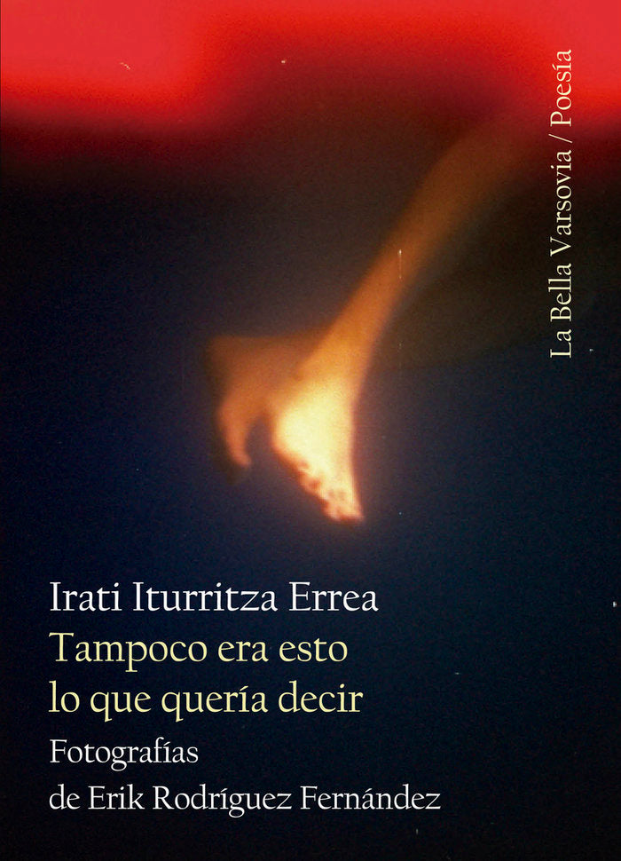 TAMPOCO ERA ESTO LO QUE QUERIA DECIR, de ITURRITZA ERREA, IRATI | portada del libro