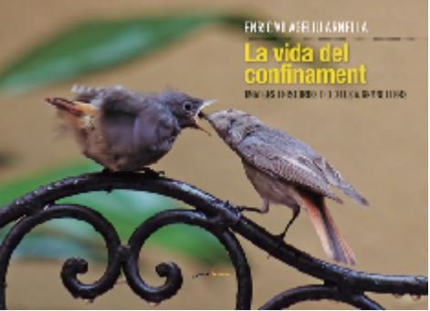 LA VIDA DEL CONFINAMENT: IMATGES I HISTORIES D'OCELLS A GRANOLLERS, de VILAGELIU | portada del libro