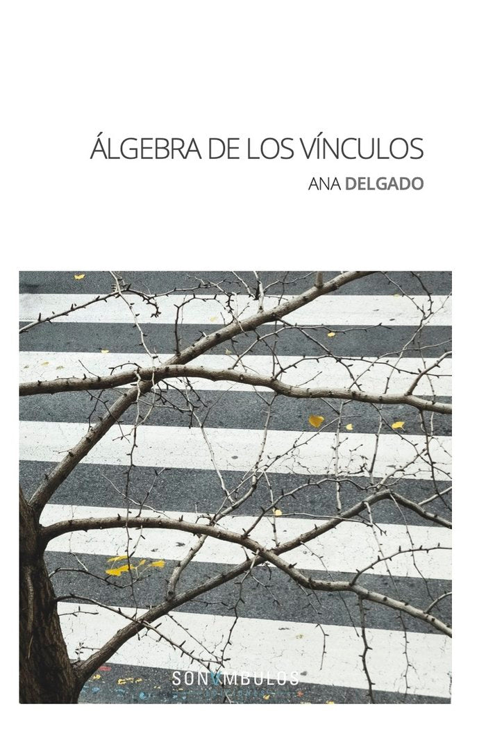 ÁLGEBRA DE LOS VÍNCULOS, de DELGADO SÁNCHEZ, ANA MARÍA | portada del libro