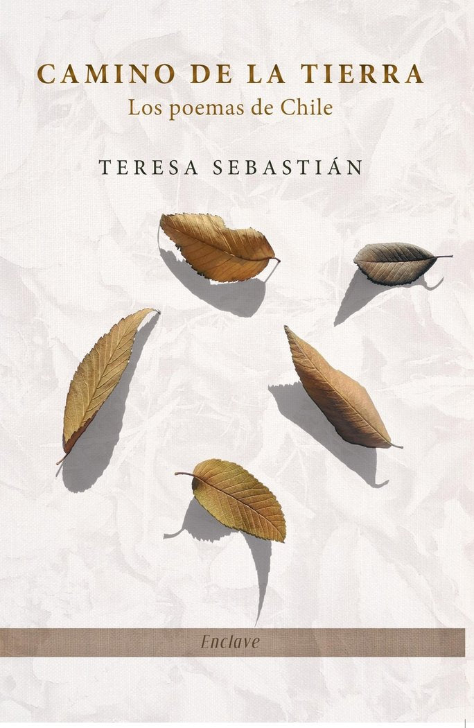 CAMINO DE LA TIERRA, de SEBASTIAN, TERESA | portada del libro