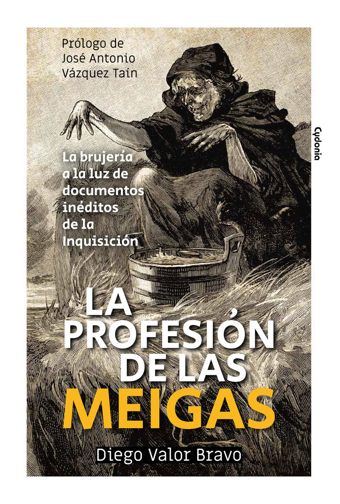 La profesión de las meigas, de Valor Bravo, Diego | portada del libro