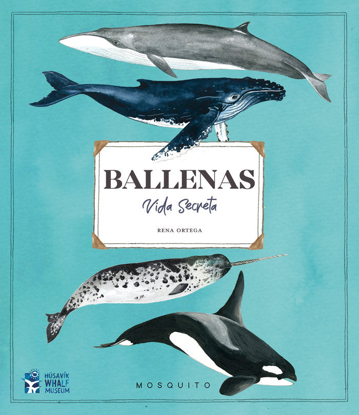 BALLENAS VIDA SECRETA, de ORTEGA,RENA | portada del libro