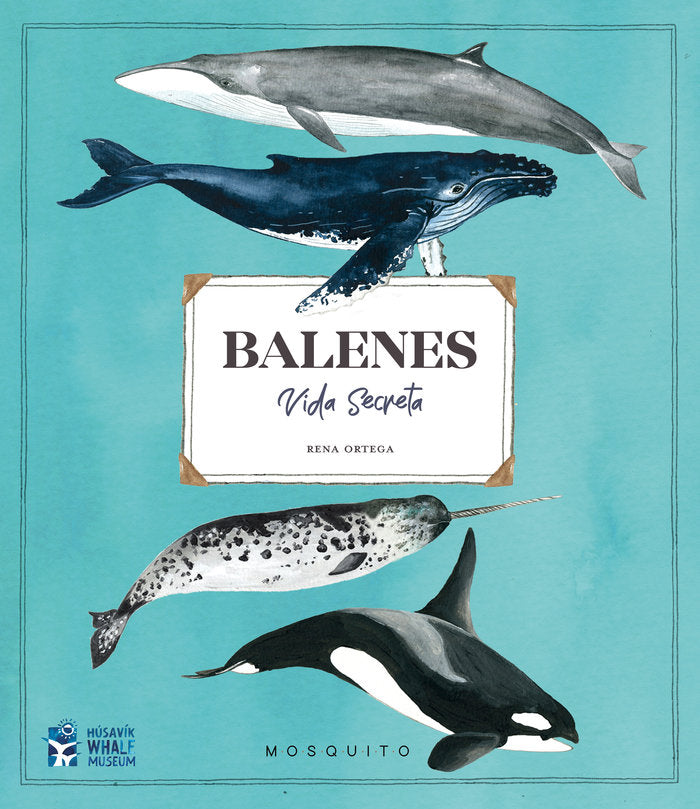 BALENES VIDA SECRETA, de ORTEGA, RENA | portada del libro