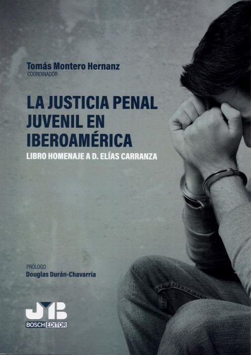 La justicia penal juvenil en Iberoamérica, de Montero Hernanz, Tomás | portada del libro