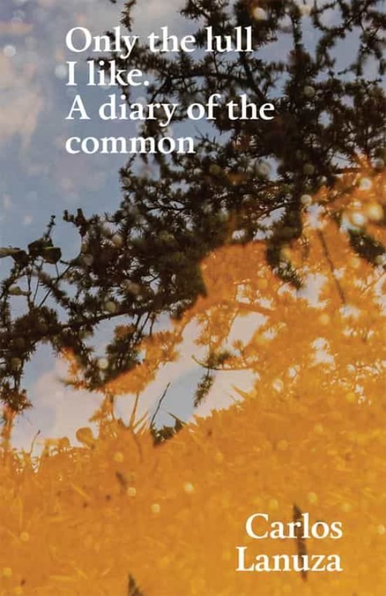 Only the lull I like., de LANUZA | portada del libro