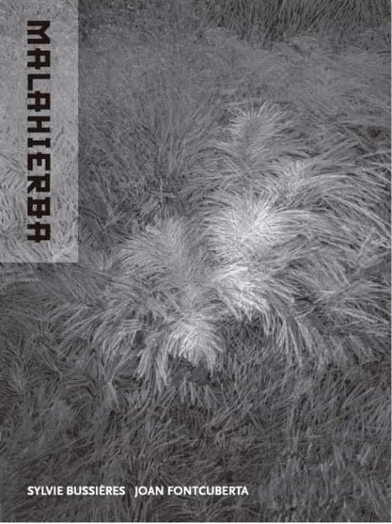 Malahierba, de FONTCUBERTA, JOAN | portada del libro