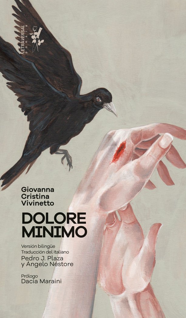 Dolore minimo, de VIVINETTO, GIOVANNA CRISTINA | portada del libro