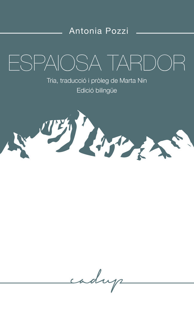 ESPAIOSA TARDOR, de POZZI | portada del libro