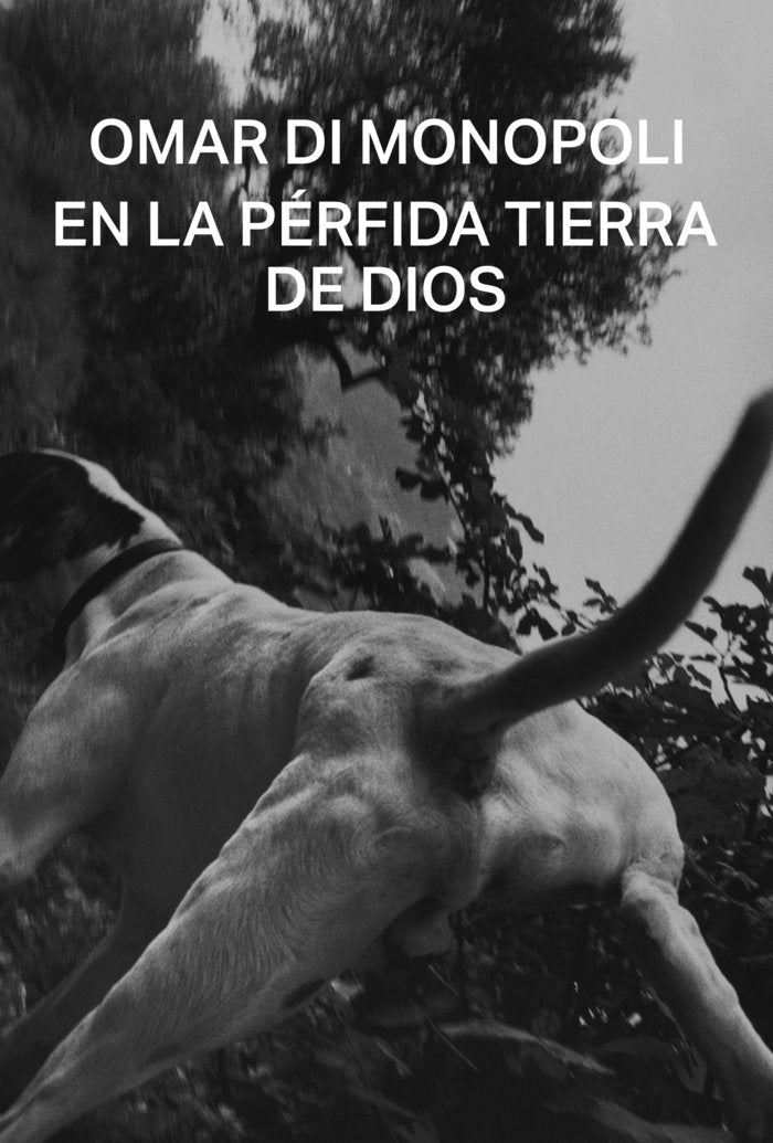 EN LA PERFIDA TIERRA DE DIOS, de DI MONOPOLI, OMAR | portada del libro