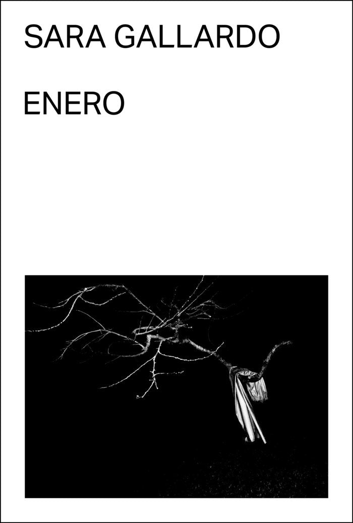 Enero, de GALLARDO DRAGO MITRE, SARA | portada del libro