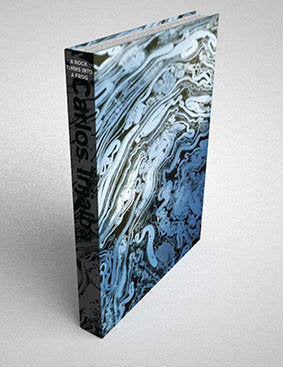 A rock turns into a frog, de IRIJALBA | portada del libro
