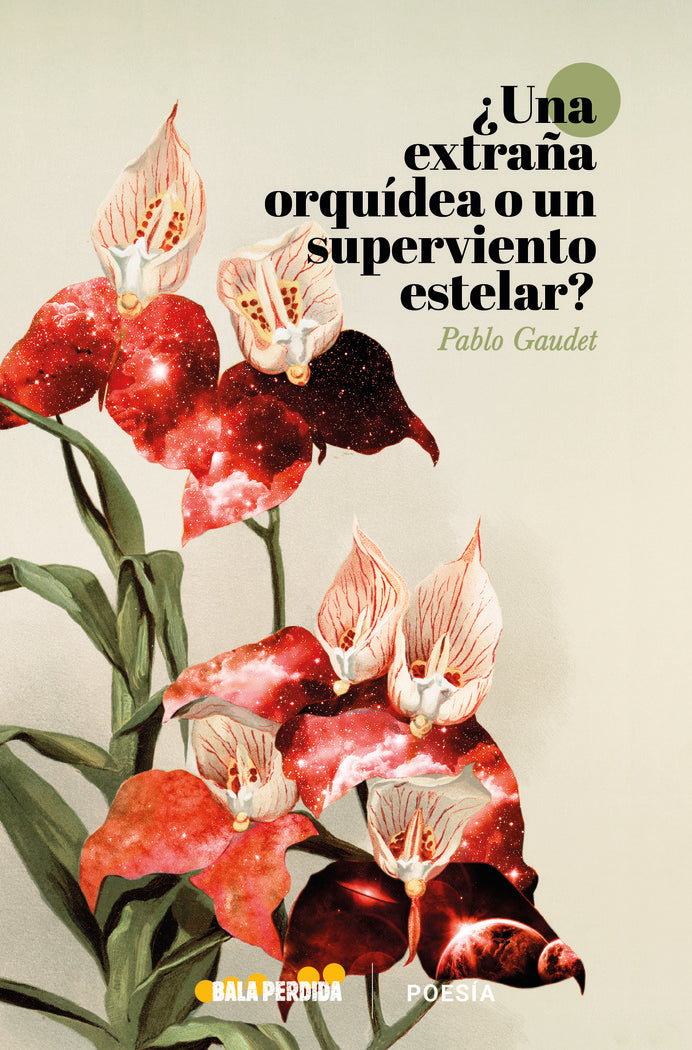¿UNA ORQUÍDEA SALVAJE O UN VIENTO SUPERESTELAR?, de Gaudet, Pablo | portada del libro