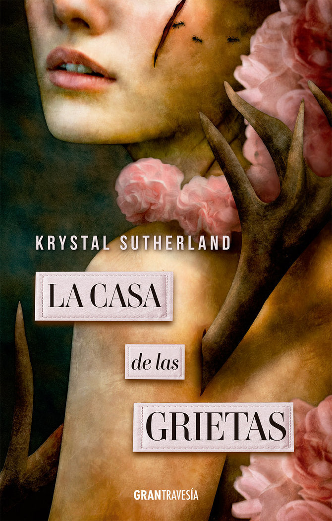 CASA DE LAS GRIETAS, LA, de SUTHERLAND, KRYSTAL | portada del libro