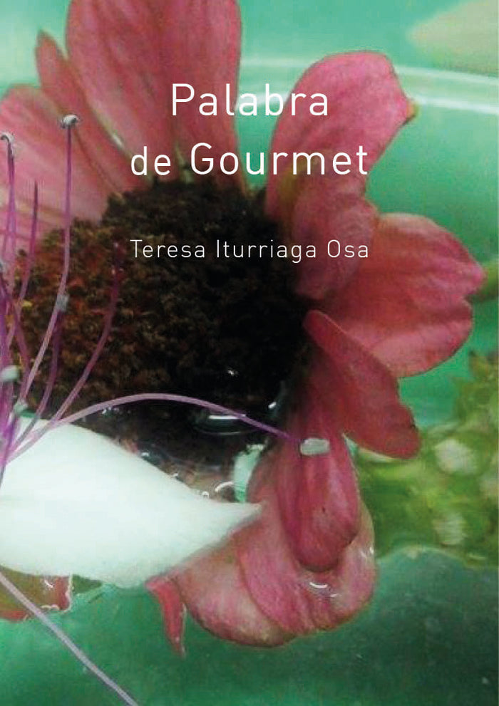 Palabra de gourmet, de ITURRIAGA OSA, TERESA | portada del libro