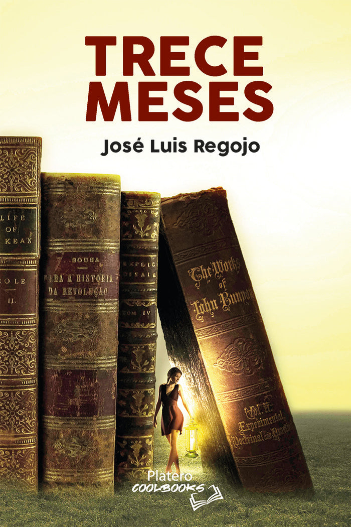 TRECE MESES, de REGOJO BORRÃS, JOSÃ‰ LUIS | portada del libro