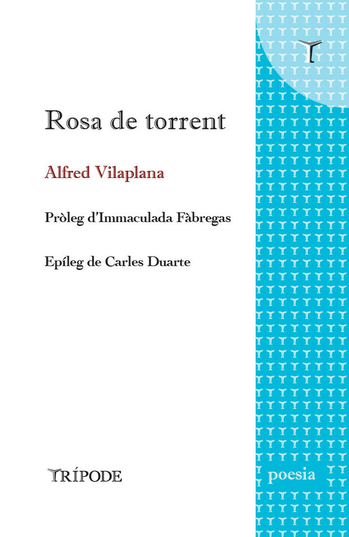 ROSA DE TORRENT, de VILAPLANA, ALFRED | portada del libro