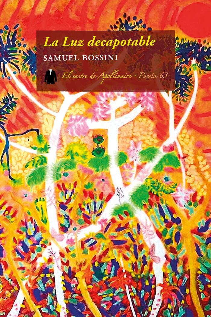 La Luz decapotable, de BOSSINI, SAMUEL | portada del libro