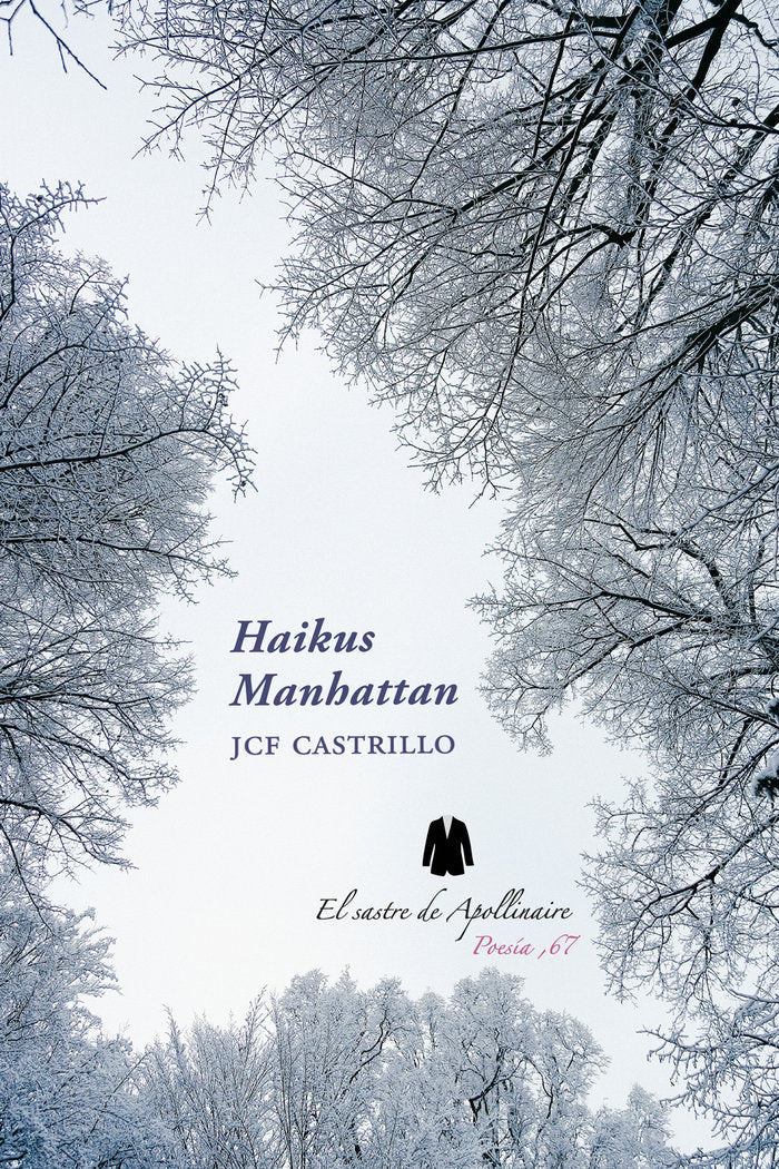 Haikus Manhattan, de FERNÁNDEZ CASTRILLO, JUAN CARLOS | portada del libro