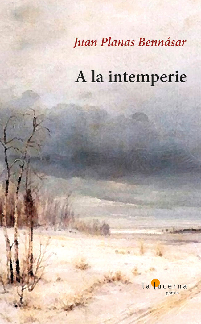 A LA INTEMPERIE, de PLANAS BENNASAR, JUAN | portada del libro