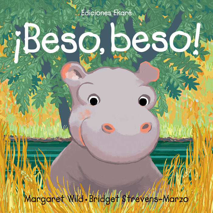 BESO BESO, de MARGARET WILD | portada del libro