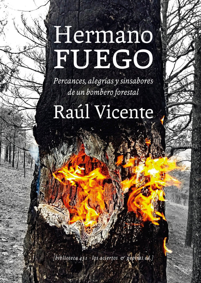 HERMANO FUEGO, de VICENTE PEREZ, RAUL | portada del libro