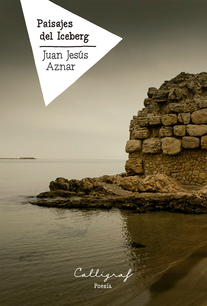 Paisajes del Iceberg, de AZNAR DEL AGUILA | portada del libro
