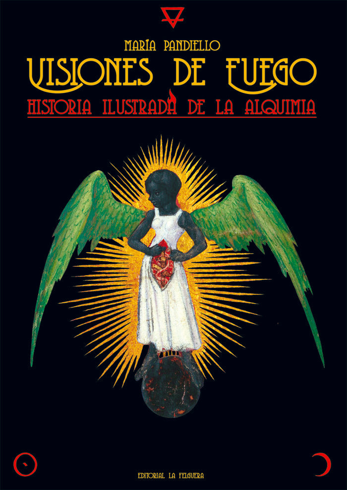 VISIONES DE FUEGO, de PANDIELLO , MARIA | portada del libro