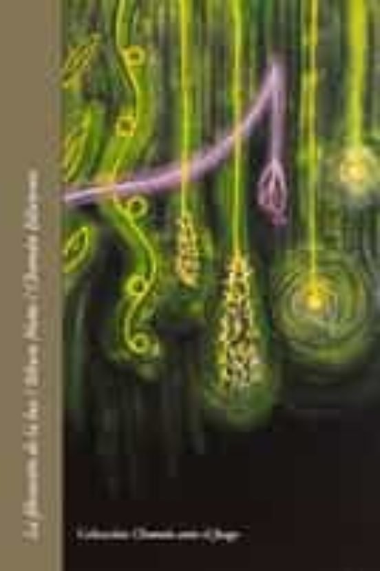 FILTRACION DE LA LUZ, LA, de NUÑO, SIHARA | portada del libro