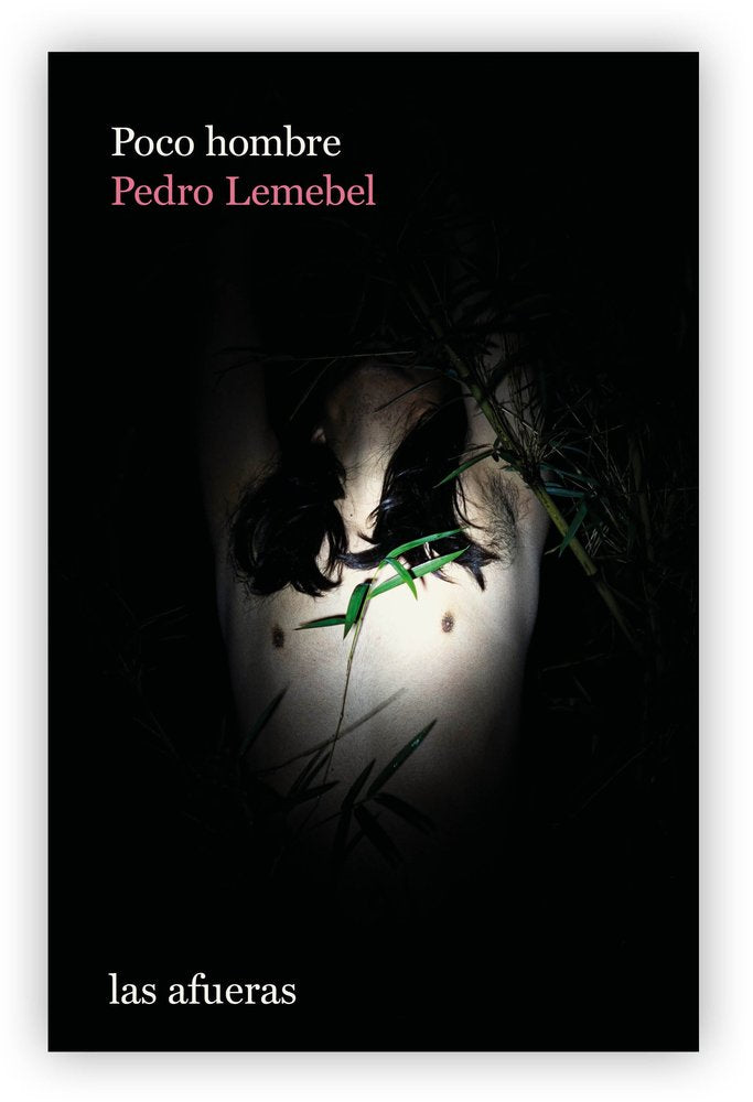 POCO HOMBRE, de LEMEBEL, PEDRO | portada del libro