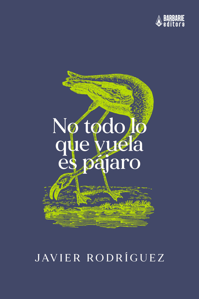 No todo lo que vuela es pájaro, de Rodríguez, Javier | portada del libro
