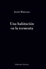 UNA HABITACION EN LA TORMENTA, de MATURANA MENDOZA | portada del libro