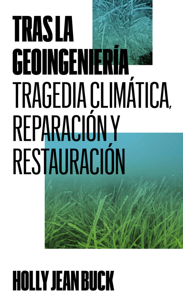 TRAS LA GEOINGENIERIA., de JEAN BUCK, HOLLY | portada del libro