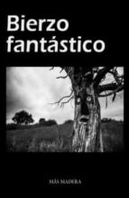 BIERZO FANTÇSTICO, de Varios autores | portada del libro