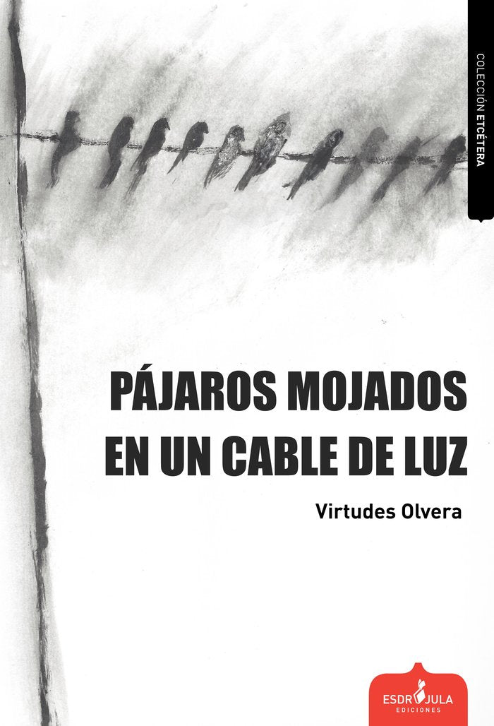 PÁJAROS MOJADOS EN UN CABLE DE LUZ, de OLVERA, VIRTUDES | portada del libro