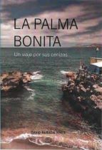 La Palma bonita. Un viaje por las cenizas, de DAVID RABADA | portada del libro