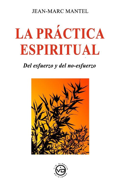 LA PRACTICA ESPIRITUAL, de JEAN MARC MANTEL | portada del libro