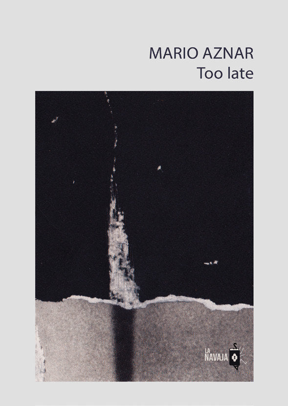 Too late, de AZNAR PEREZ | portada del libro