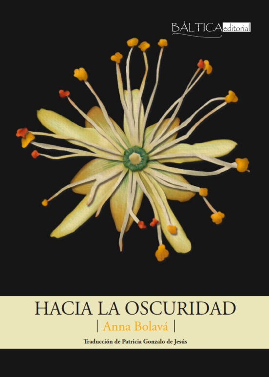 HACIA LA OSCURIDAD, de BOLAVA, ANNA | portada del libro