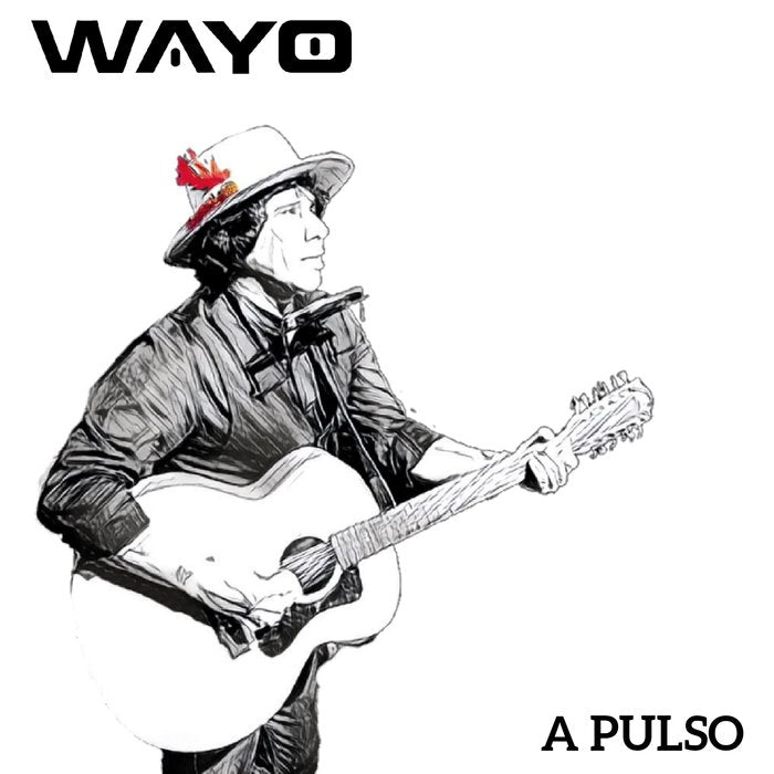 A pulso, de Wayo, Wayo | portada del libro