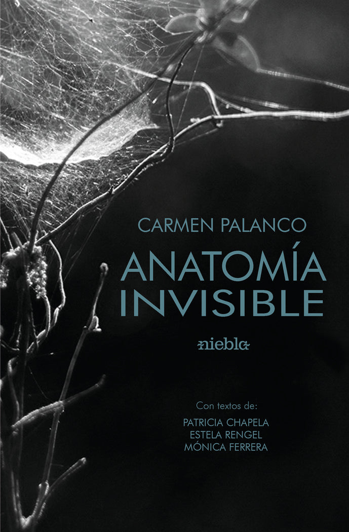 Anatomía de lo invisible, de Palanco, Carmen | portada del libro