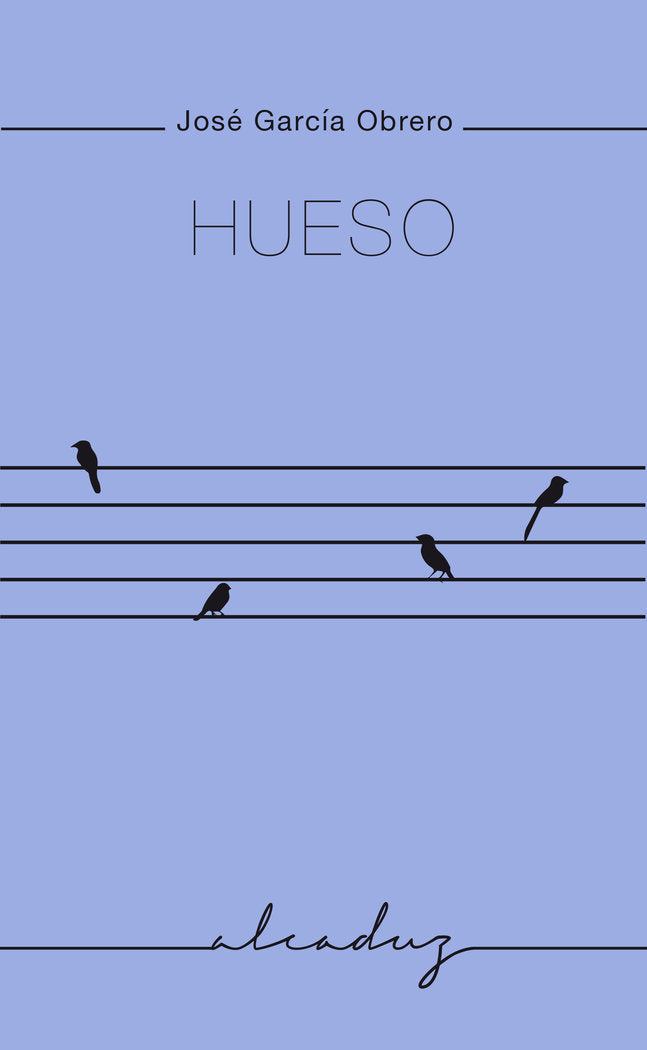 Hueso, de GARCIA OBRERO | portada del libro